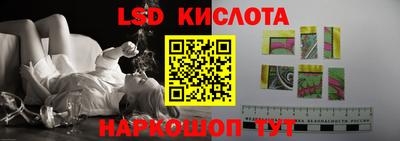гидра Гатчина