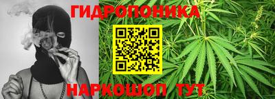 MDMA Premium VHQ Гай