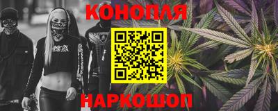 гидра Гатчина