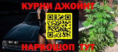 гидра Гатчина
