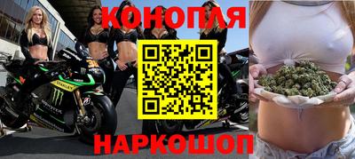 гидра Гатчина