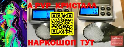 гидра Гатчина