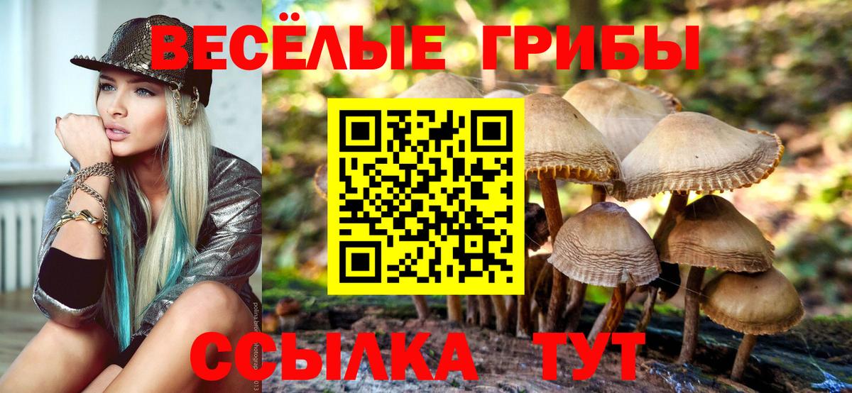 Галлюциногенные грибы ЛСД Гурьевск